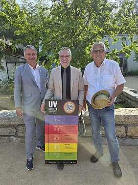 AVP24 gestaltete Anzeige