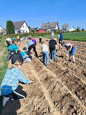 Schülerinnen und Schüler beim Setzen ihrer Samen und Setzlingen Ein Feld nahe eines Wohngebietes, auf dem zahlreiche Schülerinnen und Schüler Samen aussäen und Setzlinge stecken. Der Himmel ist blau und wolkenfrei.