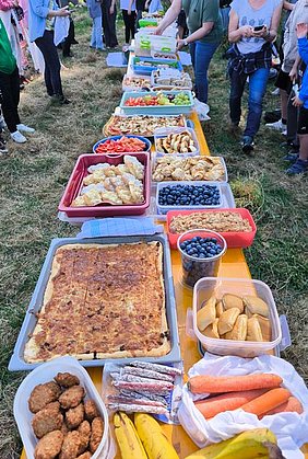 Picknick bereitgestellt von engagierten Eltern Eine große Auswahl an Obst und Gemüse, Back- und Teigwaren stehen auf einem langen Tisch, das Eltern für ihre Kinder als Picknick vorbereitet haben.