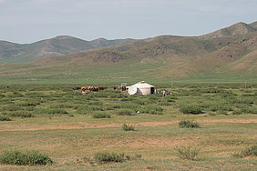 Etwas karke Landschaft in der Monogolei mit einem weißen Zelt in Mitten auf einer Wiese