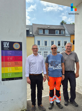 AVP24 gestaltete Anzeige